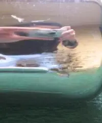 Royal Enfield terminale scarico di serie