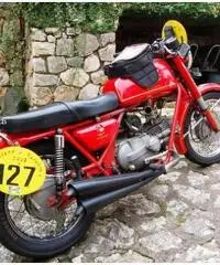 MOTO GUZZI NUOVO FALCONE 500 STORICA 1971  NUOVISSIMA!