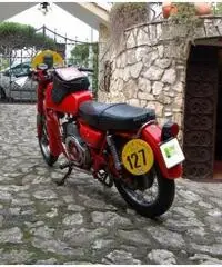 MOTO GUZZI NUOVO FALCONE 500 STORICA 1971  NUOVISSIMA!