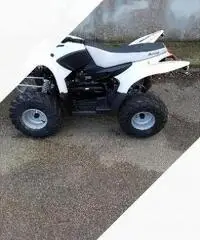 Aeon New Cobra 50cc - 2008