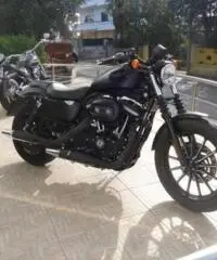 HARLEY DAVIDSON 883 tipo veicolo Custom cc 883