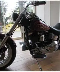 HARLEY-DAVIDSON FXSTC Custom cc 1340 HARLEY-DAVIDSON FXSTC Custom cc 1340