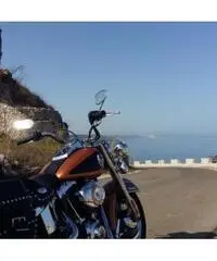 Harley-Davidson FLSTC Heritage Softail Classic FLSTC Heritage Softail Classic Harley-Davidson FLSTC Heritage Softail Classic FLSTC Heritage Softail Classic