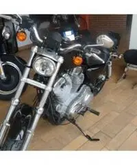 HARLEY DAVIDSON Sportster tipo veicolo Custom cc 883