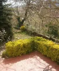 Stabile/Palazzo di 6 locali in Vendita