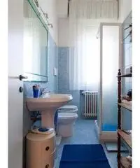 Bologna: Appartamento 5 Locali o piu Bologna: Appartamento 5 Locali o piu