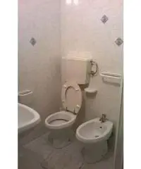 Appartamento in Affitto di 65mq Appartamento in Affitto di 65mq