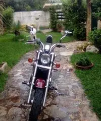 Honda shadow