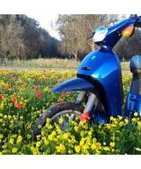 Piaggio Free 50 Piaggio Free 50