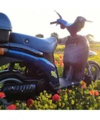 Piaggio Free 50