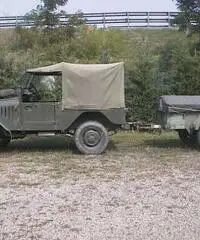 Alfa Matta 1951