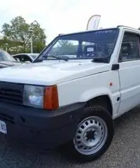 FIAT Panda 900 i.e. cat Young FIAT Panda 900 i.e. cat Young
