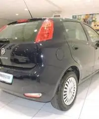 FIAT Punto 1.2 8V 5 porte Street *GARANZIA FIAT* FIAT Punto 1.2 8V 5 porte Street *GARANZIA FIAT*