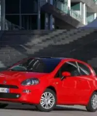 FIAT Punto 1.2 8V 5 porte Street FIAT Punto 1.2 8V 5 porte Street