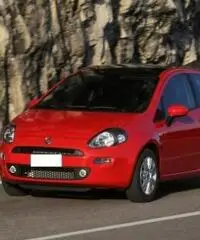 FIAT Punto 1.3 MJT II 75 CV 3 porte Street