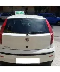 FIAT Punto Classic 1.2 5 porte Natural Power OK NEOP GARNZ EU FIAT Punto Classic 1.2 5 porte Natural Power OK NEOP GARNZ EU