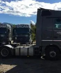 MERCEDES-BENZ Actros 1844 LS