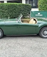 A 1600 SPIDER