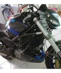 Raptor 650