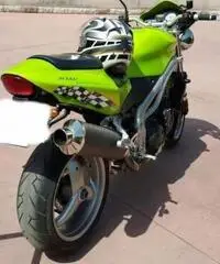 Triumph Speed Triple 955