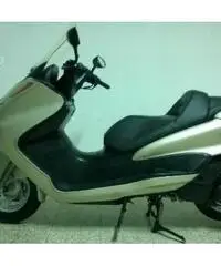 Yamaha Majesty 2^ serie anno 2006 Yamaha Majesty 2^ serie anno 2006