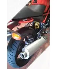 Ducati monster 695
