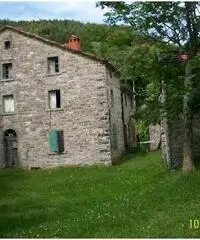 Badia Tedalda Vendita Rustico