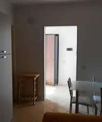 Piacenza Affitto Appartamento Piacenza Affitto Appartamento