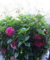 Appartamento in Vendita 72mq