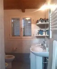 Bilocale Forli Centro