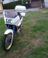 Honda transalp  v 600 xl 1987 (cerchi oro) Honda transalp  v 600 xl 1987 (cerchi oro)