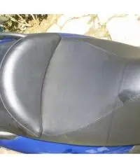 piaggio x9 evolution