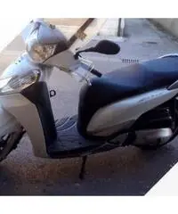 Sh300 2011