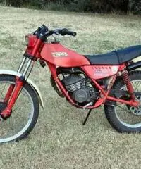 fantic trial 50 - 1981 cc 50 - SELLA LUNGA fantic trial 50 - 1981 cc 50 - SELLA LUNGA