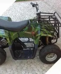 CCM Altro modello - 2011