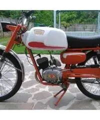ATALA RINGO 50