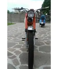 ATALA RINGO 50