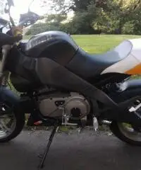 Buell XB12 x