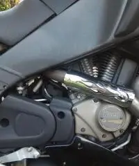 Buell XB12 x