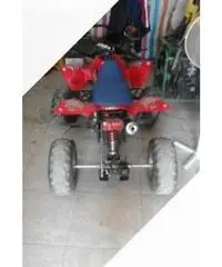 Kawasaki Altro modello