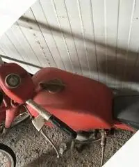 Motom Altro modello - Anni 60 Motom Altro modello - Anni 60
