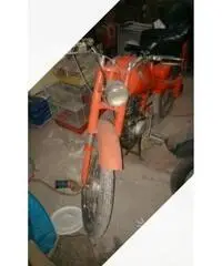 Motom - Anni 50 Motom - Anni 50