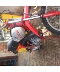 beta  50 1978 mx6