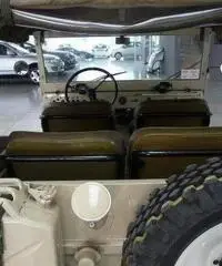 AUDI 50 munga