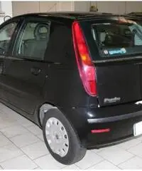 FIAT Punto 1.2 5 P. CLIMA. GARANZIA 12 MESI.