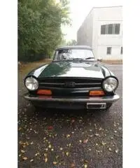 TRIUMPH TR6