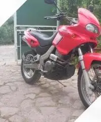 Cagiva Canyon 500 - 2001 Cagiva Canyon 500 - 2001