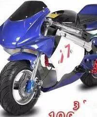 Eco Minimoto Elettrica 1000 w nuova Eco Minimoto Elettrica 1000 w nuova