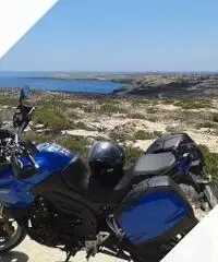 Triumph Tiger 1050 anno 2009 PERFETTA Triumph Tiger 1050 anno 2009 PERFETTA