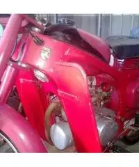 CAPRONI CAPRIOLO 75 2T cc 125 immatricolata 1950